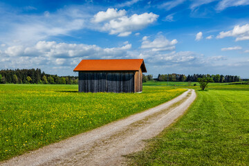 Rural road in summer meadow with wooden shed. Bavaria, Germany - 768864203