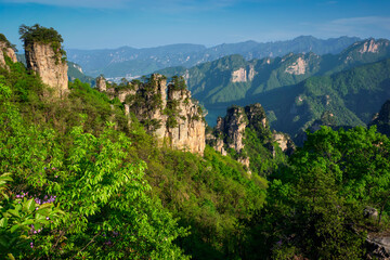 Famous tourist attraction of China - Zhangjiajie stone pillars cliff mountains on sunset at Wulingyuan, Hunan, China - 768865683