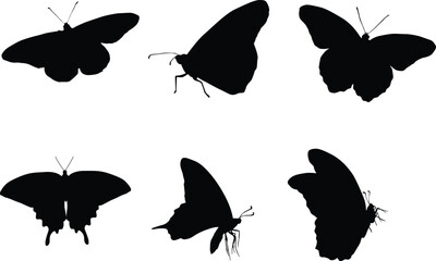 set of butterflies silhouettes illustration. Animal wildlife hand drawn in vector - obrazy, fototapety, plakaty