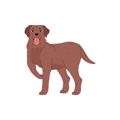 Smiling labrador dog standing with paw raised flat style