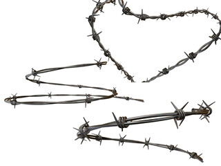 Security wire, Barber wire stock image shoot use white background
