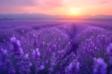 Zelfklevend Fotobehang Lavender Twilight Fields Breathtaking Scenic Landscape at Dusk with Vibrant Purple Blossoms Basking in the Last Light of Day © Meta