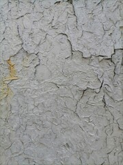 old wall texture