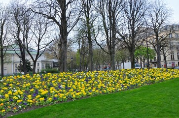 Fototapeta na wymiar Paris, France 03.25.2017: Luxembourg Palace and park in Paris, the Jardin du Luxembourg