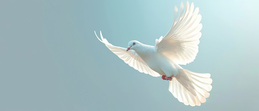 An image capturing a delicate white dove in mid-flight bathed in a soft, ethereal light against a pale blue background.