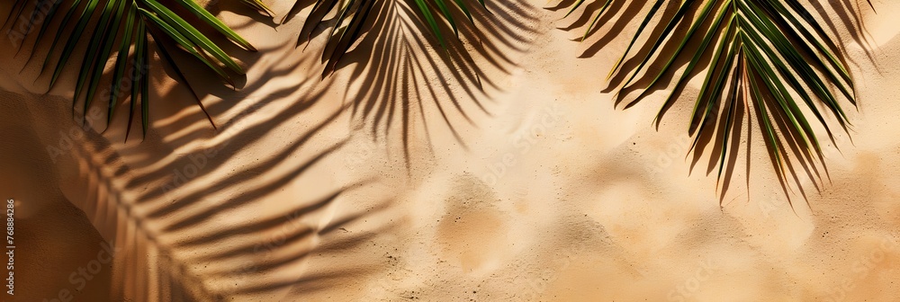 Poster palm tree is on the sand with its leaves casting a shadow. concept of relaxation and tranquility, as