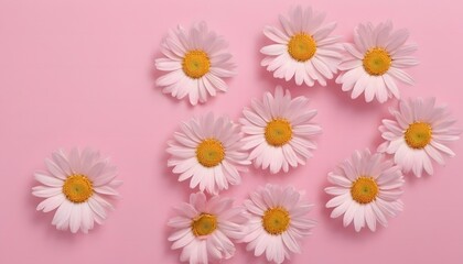 Multi-color daisy chamomile flowers wallpaper, background, Modern lifestyle, summer, spring concept. flat lay, top view. Ai Generate