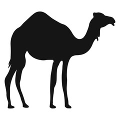 Camel silhouette. Vector illustration