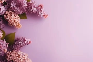 Fotobehang Lilac Blooms on Pastel Purple Layout. Creative layout made of lilac flower branches on a pastel purple background. © Оксана Олейник