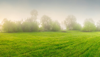 Fototapeta na wymiar Tranquil dawn ambiance showcasing a manicured meadow surrounded by idyllic scenery, veiled in soft haze. Captivating spring panorama.