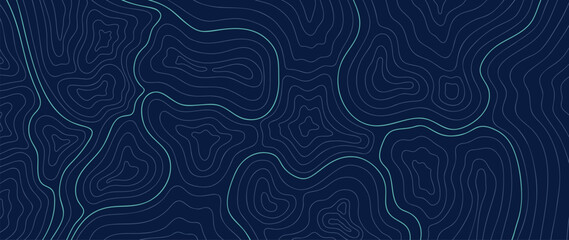 Topographic map pattern background vector. Abstract mountain terrain map background with abstract shape line texture. Design illustration for wall art, fabric, packaging, web, banner, wallpaper.