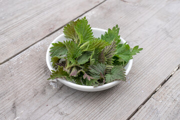 White bowl with fresh nettle shoots on a wooden background 