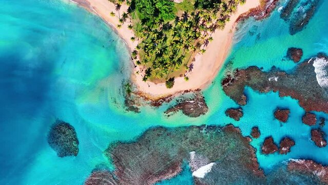 Aerial view of a paradise beach with palm trees on a sunny summer day. Beautiful tropical Caribbean coastline. Coral reefs off the Dominican Republic coast. Nature landscape of a sea island.