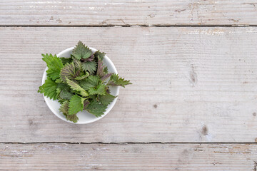 White bowl with fresh nettle shoots on a wooden background with copy space