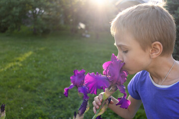 Boy sniffing variegated purple iris summer garden. Backlighting of evening sun. Space for text, copy space. Gardening, growing beautiful flowers.