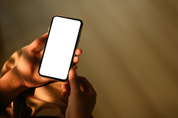 Close up view of woman holding smartphone with empty screen sitting in living room