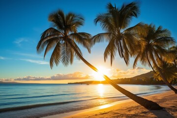 Fototapeta na wymiar Beach sunset with palm trees