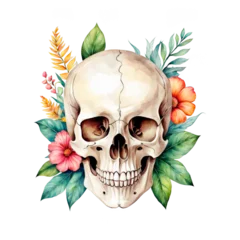 Papier Peint photo Crâne aquarelle Human skull with flowers and leaves, botanical illustration, watercolor painting, skull bone, gothic, study, project, for scrapbook, crafts, presentation, cutout on white background