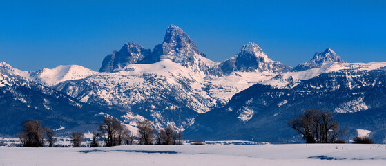 Teton Mountain Range Idaho Side in Winter Blue Sky and Forest