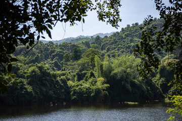 THAILAND PHETCHABURI KEANG KRACHAN NATIONAL PARK