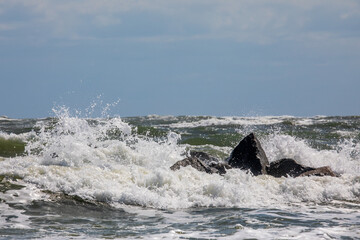 Fototapeta premium Waves crash on dark rocks with a uniform blue sky above. White Sea foam and ocean spray and small waves in the foreground. Waves crash during high tide in Florida on the Atlantic Ocean coastline.