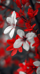 Dichromic Red and White Flower Wallpaper: Stunning Floral Background Generative AI