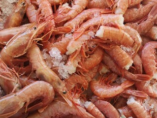 Selection of raw, fresh shrimp on ice, ready for sale at a seafood market-