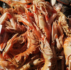 Fresh shrimp on ice at seafood market