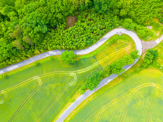 A green field with a winding road in the middle. The road is surrounded by trees and grass. Aerial drone photography.