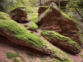 Belogradchik Rocks (Vidin Province, Bulgaria)
