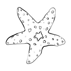 Starfish isolated on white. Modern creative line art graphics.Vector illustration. - 768918450
