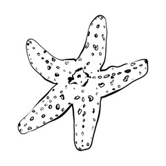 Starfish isolated on white. Modern creative line art graphics.Vector illustration. - 768918495