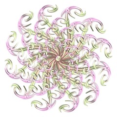 Fototapeta na wymiar 3d pink and light green floral petal swirl