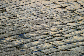 Limestone pavement near Downpatrick Head