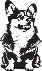 vector illustration of corgi dog