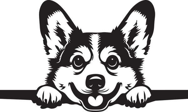 illustration of peeking cute corgi dog