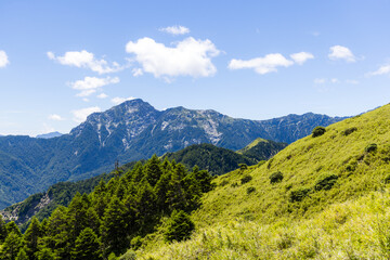 Fototapeta na wymiar Beautiful view of mountain landscape at Hehuanshan National Forest Recreation Area in Nantou Taiwan