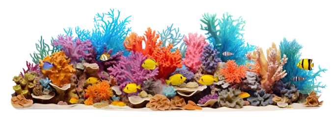 Poster Im Rahmen Colorful coral reef cut out © Yeti Studio