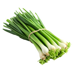 Bunch of fresh green onion isolated on transparent background