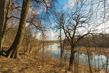 Fototapeta na wymiar Landscape of very early spring. Trees illuminated by the sun stand on the river bank