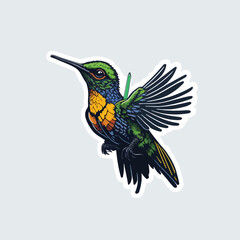 Obraz premium Vector hummingbird animal cartoon sticker