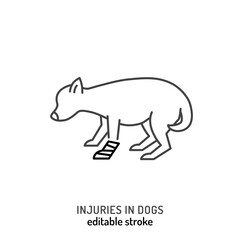 Injuries in dogs. Leg trauma icon, pictogram, symbol. - 768928249