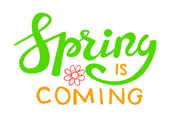 Spring is coming quote hand drawn calligraphy with brush pen lettering. Png clipart isolated on transparent background
