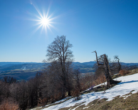 Camins del GR11 🇵🇱 Sierra de&nbsp;Abodi