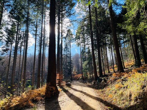 Montseny 