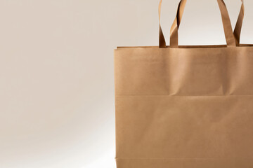 Eco-friendly paper bags, a symbol of sustainable living and conscious consumerism, contributing to environmental conservation and a greener future