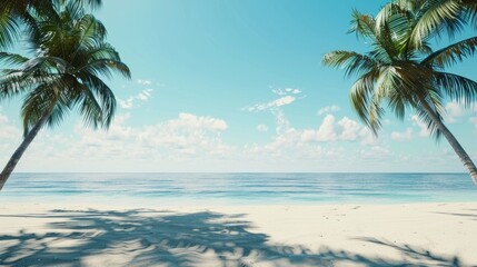 Fototapeta na wymiar Golden palms cast long shadows on serene, deserted tropical shoreline - tranquil beachscape scene