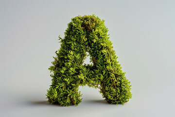 The letter 'A' artistically created from vibrant green moss and lichen against a neutral background, representing nature and sustainability..