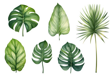 Set of tropical leaves, vector, watercolor, variety, ornamental, transparent background - obrazy, fototapety, plakaty