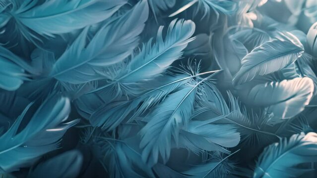 Layered light blue feathers texture. Detailed macro photography. Design for wallpaper, background